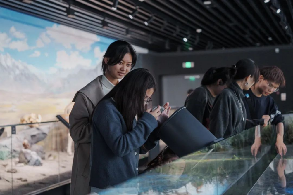色情直播
